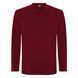 Футболка з довгим рукавом Extreme L/S garnet 1217 фото