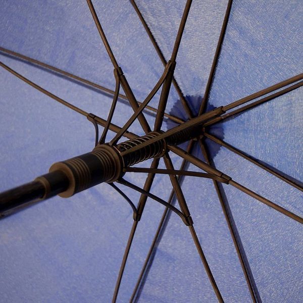 21431(Bergamo) фото